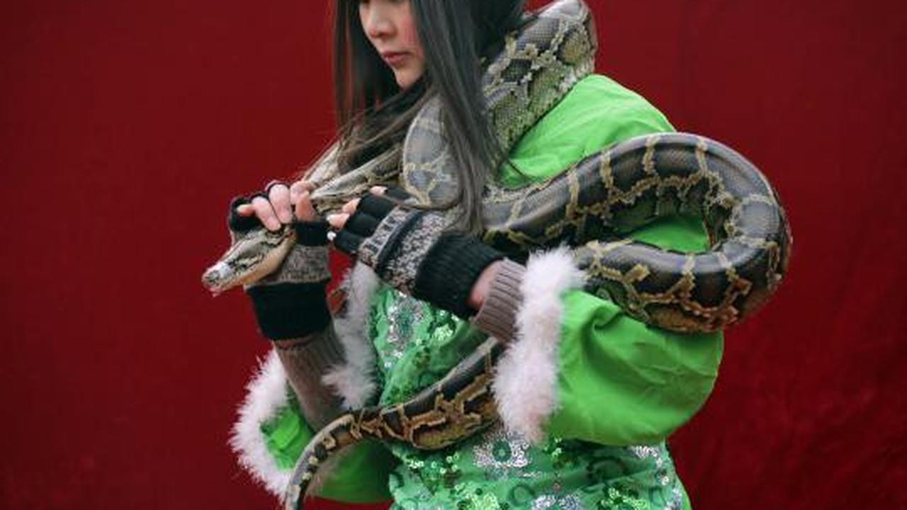 Atraksi berbahaya sambut tahun ular di China