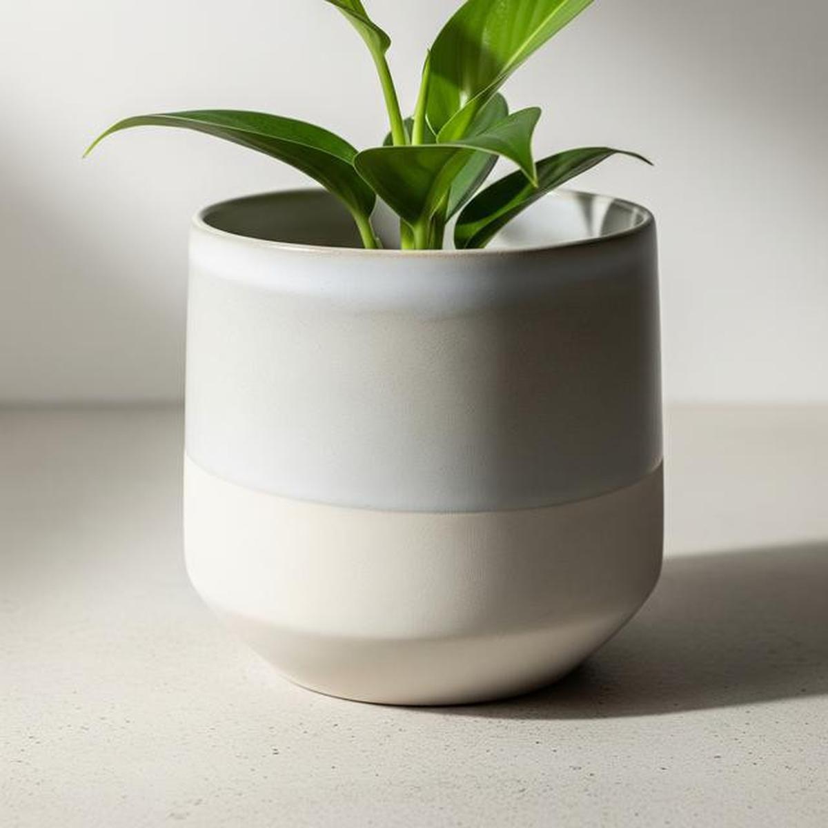 7 Model Pot Bunga dari Tanah Liat hingga Beton: Mana yang Paling Cocok untuk Teras Rumahmu?