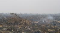 Kondisi kebakaran di lahan gambut di area konsesi perkebunan sawit di Muaro Jambi tahun 2019. (Liputan6.com / Gresi Plasmanto)