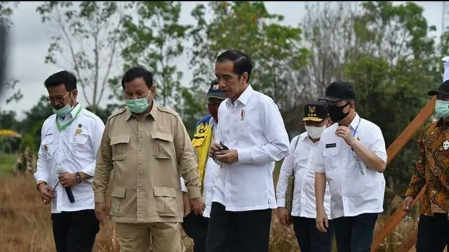 Program Food Estate di Kalimantan Tengah, Picu Antusiasme Petani Kapuas