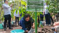 MenLH Hanif Faisol Nurofiq menanam pohon di Taman Kehati Indramayu, Jawa Barat. (dok. Humas KLH)