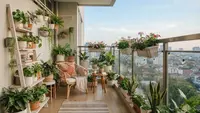 12 Tanaman Hias untuk Balkon Minimalis, Solusi Mempercantik Area Outdoor yang Sempit