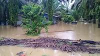 Banjir melanda kawasan Kabupaten Aceh Singkil setelah Sungai Lae Cinendang meluap akibat intensitas hujan yang tinggi sejak Minggu (30/8/2020). (Liputan6.com/ Ist)