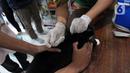 Vaksin rabies diberikan secara gratis untuk warga ber-KTP DKI Jakarta.  (merdeka.com/Imam Buhori)