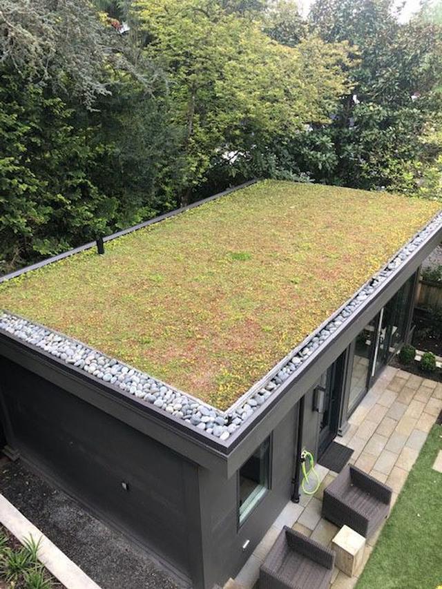 Rumah dengan Atap Hijau (Green Roof)