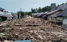 Fakta Mencengangkan Banjir di Sumatra: Luas Hutan Ditebang Mencapai 3,6 Kali Luas Pulau Bali