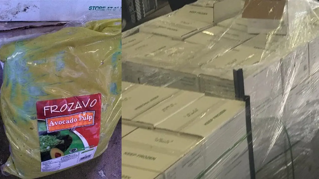 Ganja di dalam Alpukat