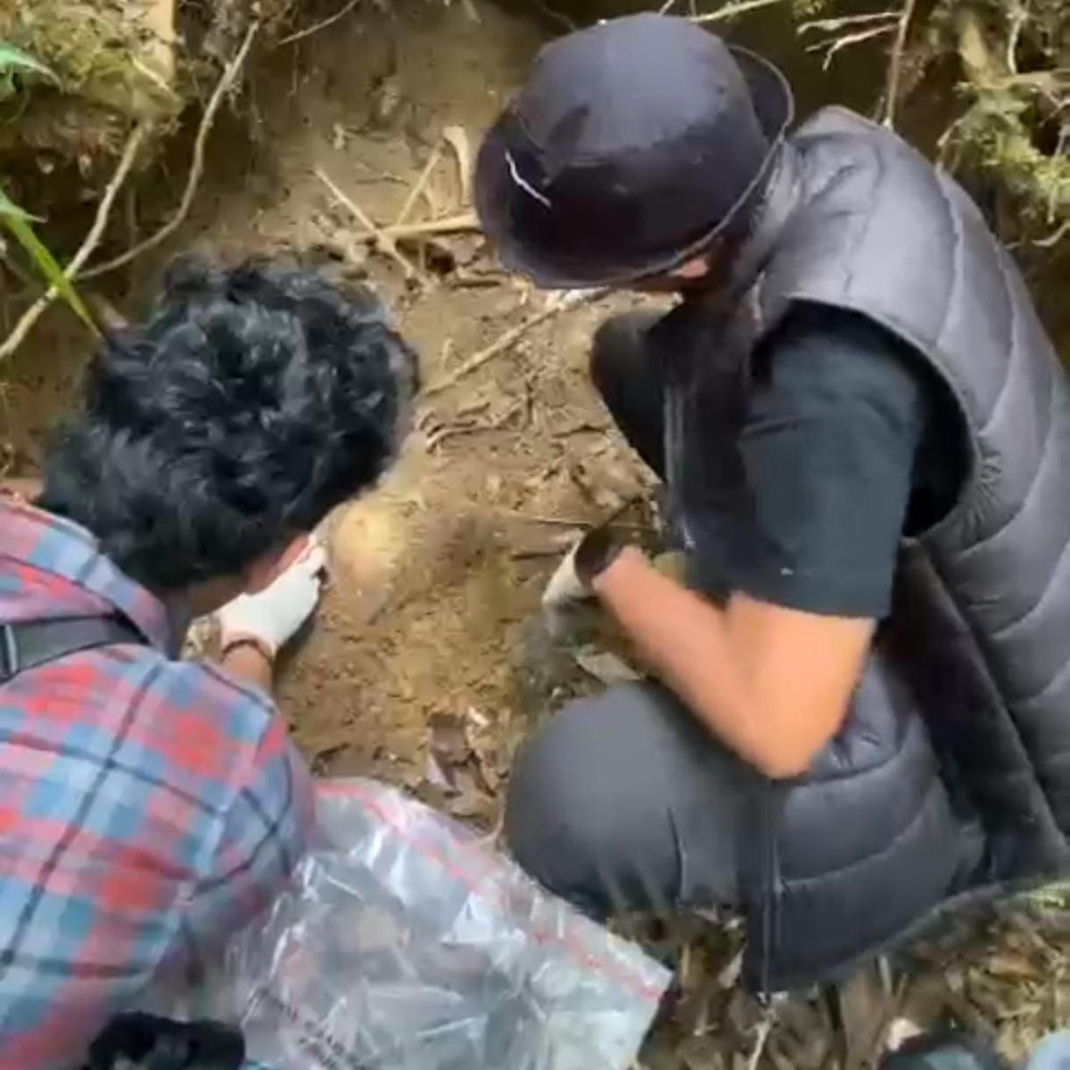 Kerangka Feni Ere