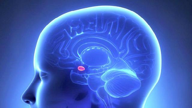 Halusinasi Bau Tanda Ada Tumor Otak Health Liputan6 Com