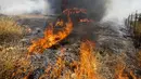 Sebuah mobil yang terbakar akibat kebakaran yang disebut Apple Fire di dekatnya di Cherry Valley, California (1/8/2020). Sebanyak 7.800 warga yang dievakuasi berasal dari 2.586 rumah. Mereka telah diminta untuk mengungsi ke tempat yang lebih aman. (AP Photo/Ringo H.W. Chiu)