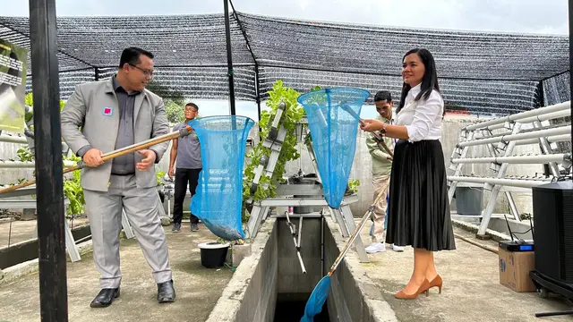 Kitchen Garden