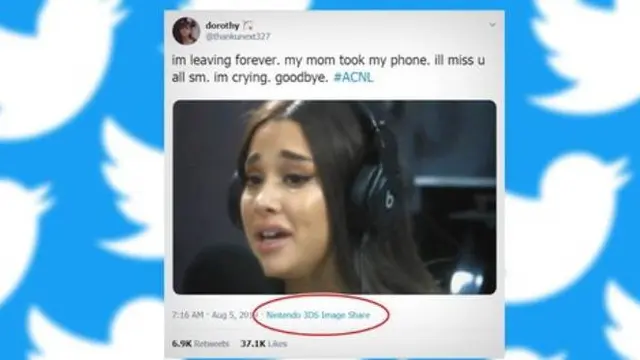 Tweet Dorothy