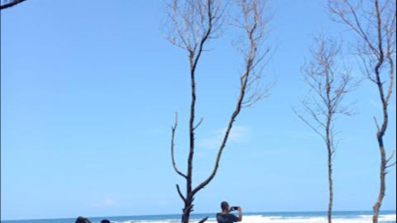 “Pantai Cemara Cipanglay jadi salah satu tujuan wisata yang cukup ramai di Cianjur. Panorama alamnya yang ciamik membuat tempat ini bak primadona, apalagi pohon-pohon cemara yang berjajar menambah keindahannya,” tulis keterangan di laman Instagram Dis