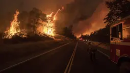 Petugas berusaha memadamkan api yang melanda kawasan California, Amerika Serikat, Sabtu (8/7). Dalam waktu singkat, api telah menghanguskan 10 rumah dan membakar lebih dari 800 hektar hutan. (AP Photo / Noah Berger)