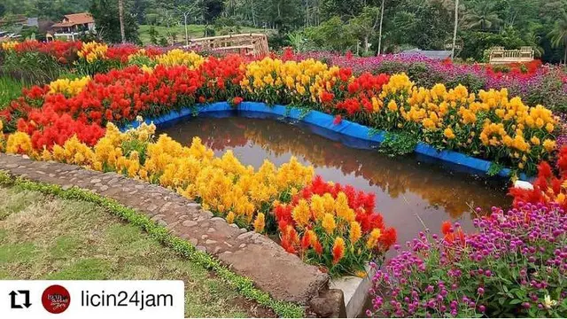Agrowisata Tamansuruh