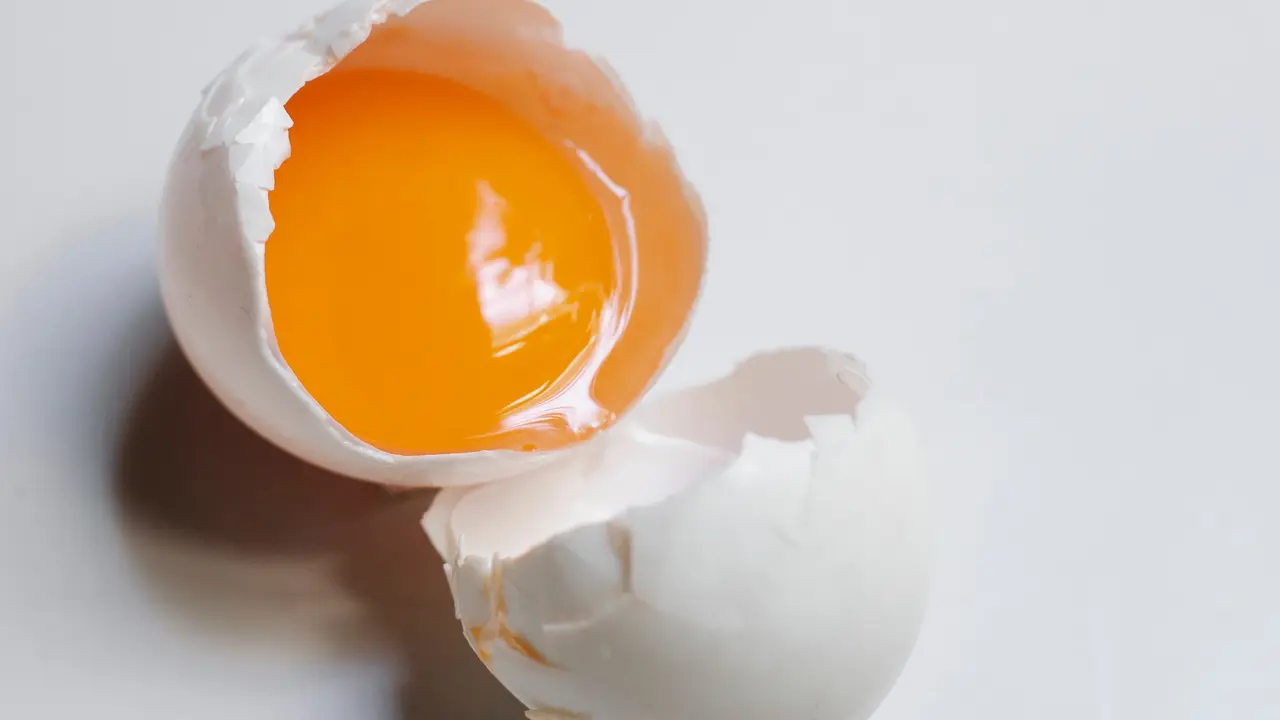 Telur