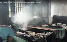 Teror Kesehatan dari Sepotong Tahu Goreng: Ancaman bagi Tubuh dan Lingkungan dari Penggunaan Bahan Bakar Sampah untuk Proses Menggoreng