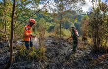 Daftar Gunung dan Taman Nasional Terbakar Selama Musim Kemarau