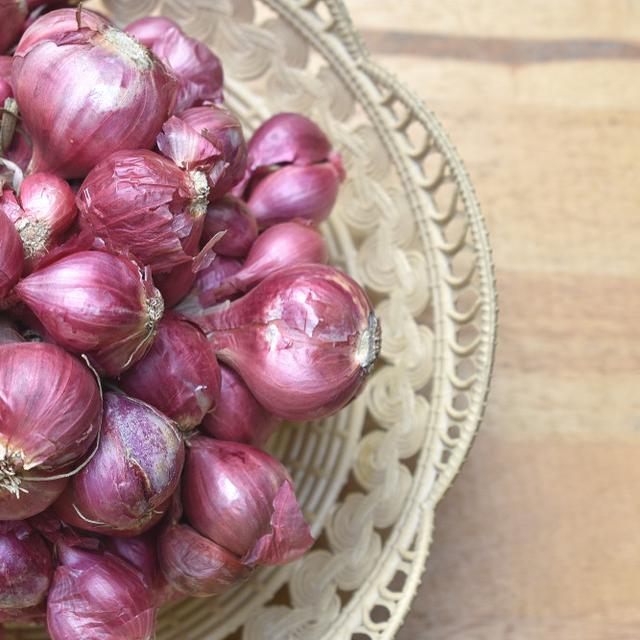 Cara Menanam Bawang Merah Di Pot Di Halaman Rumah Mudah Dan