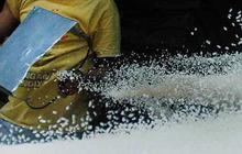 Data BPS: Harga Beras Naik 20 Persen, Kualitas Medium Dijual Rp14.162 per Kg