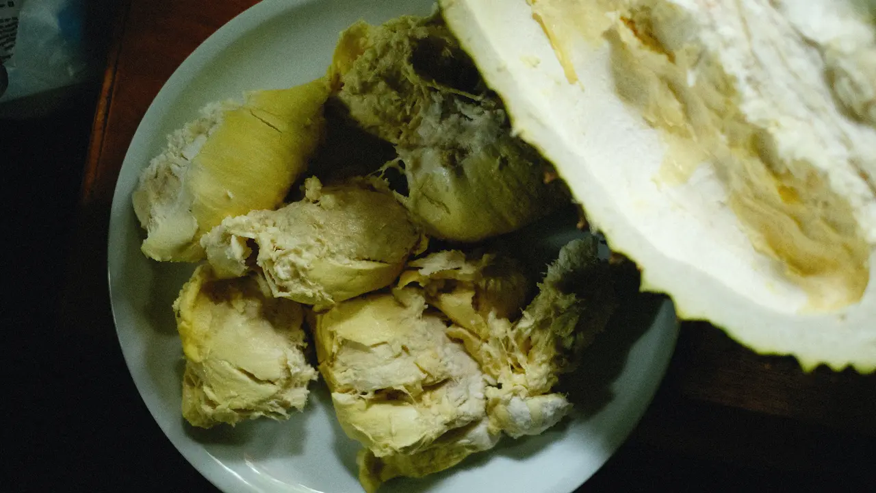 Gunakan karbit padat