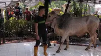 Doa agar Rezeki Cukup untuk Kurban Tahun Depan, Ikhtiar Batin agar Diberi Kelapangan