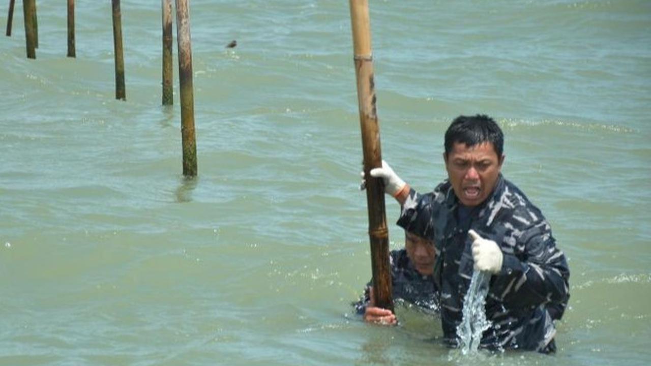 Pengamat Minta Penegakan Hukum Kasus Pagar Laut Berbasis Fakta, Bukan Asumsi