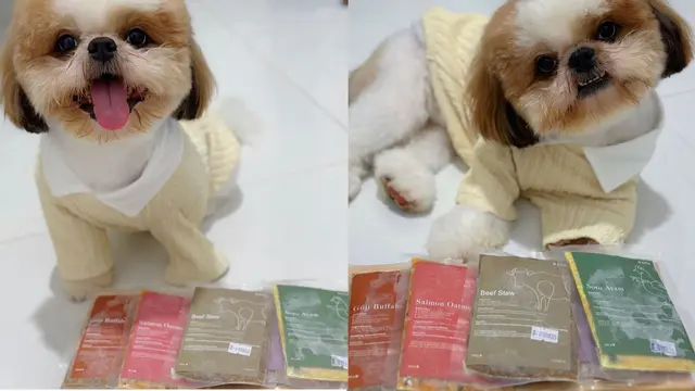 Seekor anjing yang berfoto dengan produk makanan dari Barkpet.id