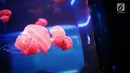 Ubur-ubur terlihat di Wahana Jellyfish Sphere di SeaWorld Ancol, Jakarta, Selasa (25/12). Sea World menjadi tempat wisata alternatif warga menghabiskan libur Natal 2018. (Liputan6.com/Faizal Fanani)