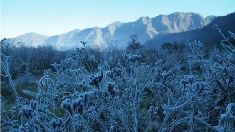 Fenomena Embun Es di Gunung Bromo