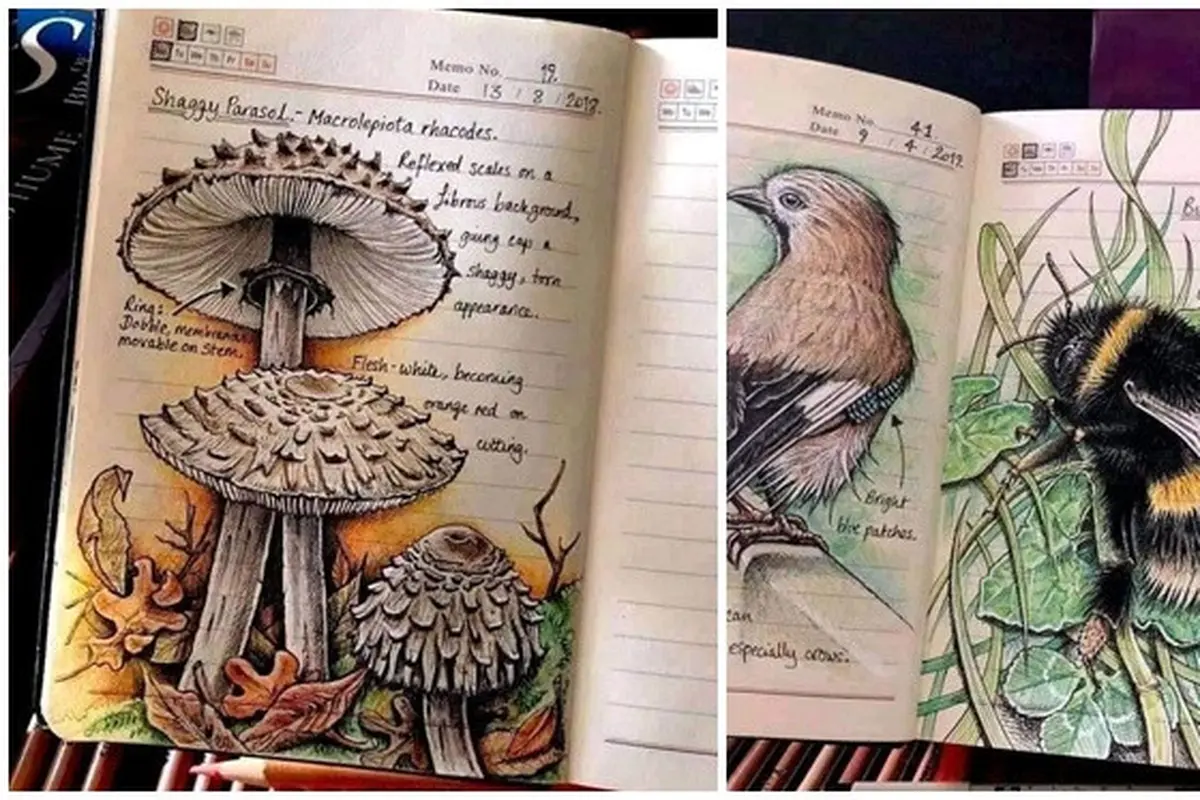 Wanita Ini Tunjukkan Gambar di Buku Tulis Biologinya Bak Ensiklopedia, Bikin Takjub