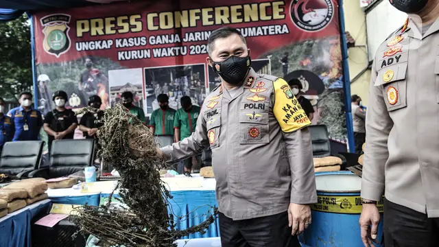 Pengungkapan Ladang Ganja Seluas 12 Hektare