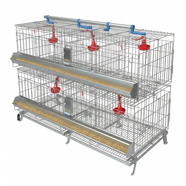 Model Kandang Ayam Petelur (Gemini AI)