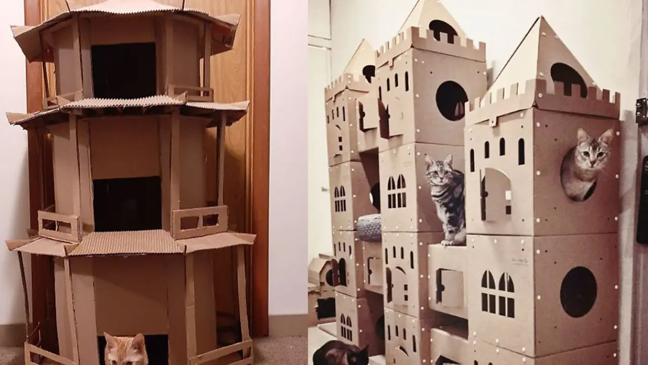 miniatur rumah kucing