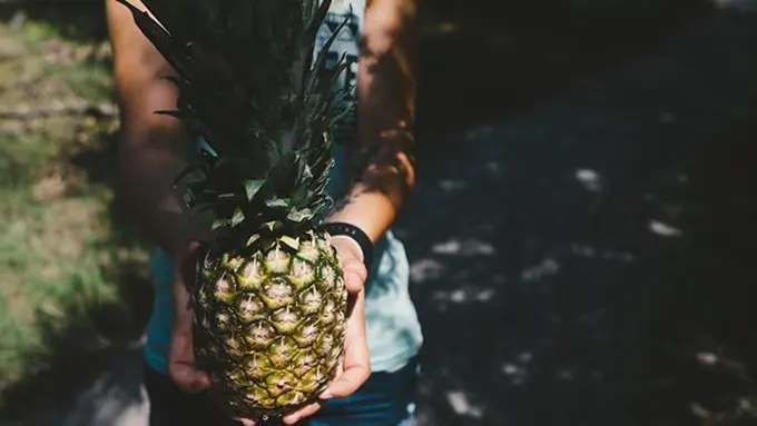 Buah nanas kaya manfaat./Copyright pixabay.com