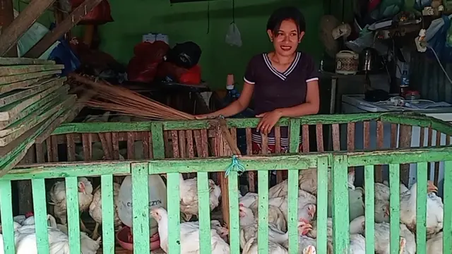Theresia Avila pedagang ayam potong pasar tradisional, pasar alok maumere, Kabupaten Sikka, NTT. (Liputan6.com/ Dionisius Wilibardus)
