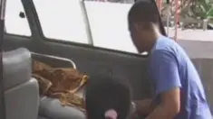 liputan6