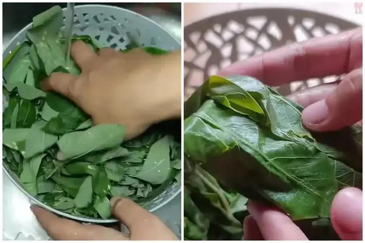 Cara Merebus Daun Singkong Agar Cepat Empuk &amp; Tetap Hijau dalam 7 Menit