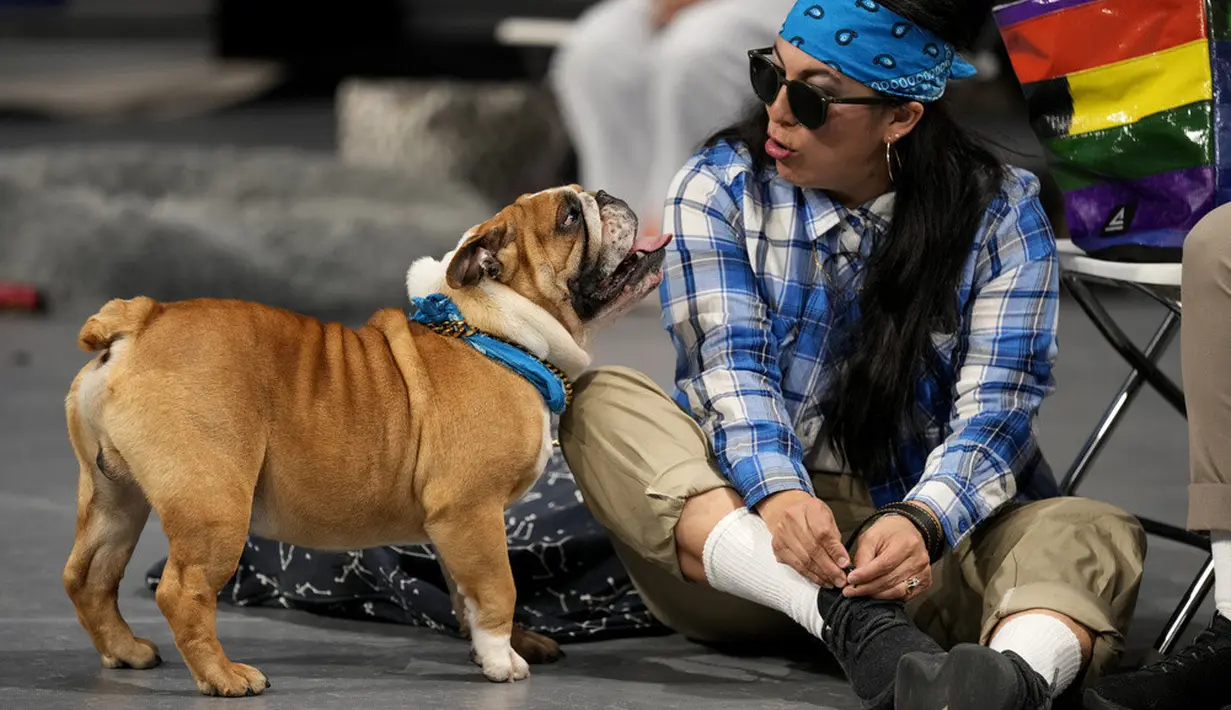 <p>Kontes tersebut memulai perayaan Drake Relays di Drake University di mana maskotnya adalah bulldog. (AP Photo/Charlie Neibergall)</p>