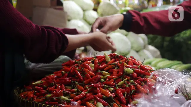 FOTO: Jelang Natal, Harga Cabai Rawit Merah Tembus Rp 100 Ribu per Kilo
