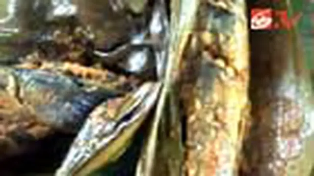 Olahan ikan lele ternyata bukan hanya lele penyet atau pecel lele. Di Kudus, Jawa Tengah, Anda bisa menjumpai kuliner lain berbahan ikan lele, yakni lele bumbung. 