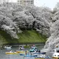 Orang-orang di atas kapal melihat bunga sakura yang mekar penuh di parit istana Chidorigafuchi di Tokyo pada Senin, 28 Maret 2022. Banyak orang berjalan di bawah pohon untuk menikmati bunga dan kelopak Sakura yang jatuh daripada minum dan makan sambil duduk. (AP Photo/Koji Sasahara)