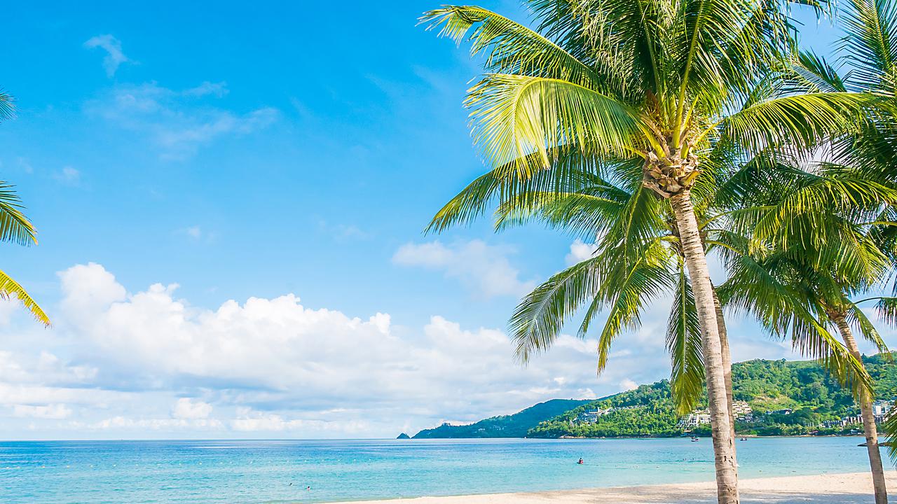 Ragam Manfaat Luar Biasa Buah Kelapa, Dari Sisi Kesehatan dan Ekonomi