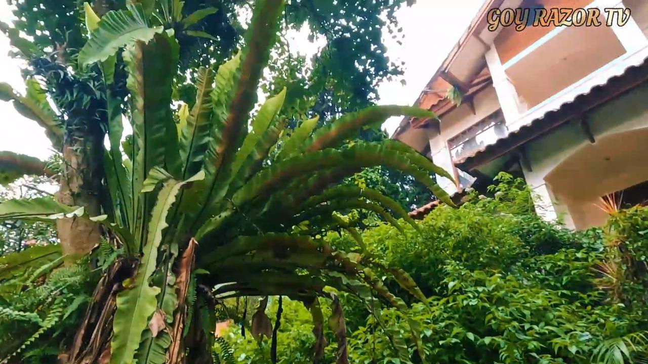 5 Potret Rumah Masa Kecil Ariel Noah yang Terbengkalai, Bangunan 3 Lantai Tawarkan Pemandangan Bandung nan Indah