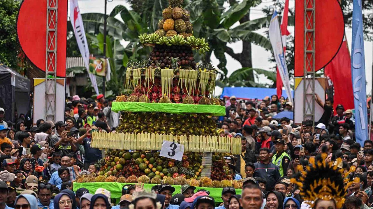 FOTO: Wow! Ribuan Durian Dibagikan Gratis saat Kenduri Durian