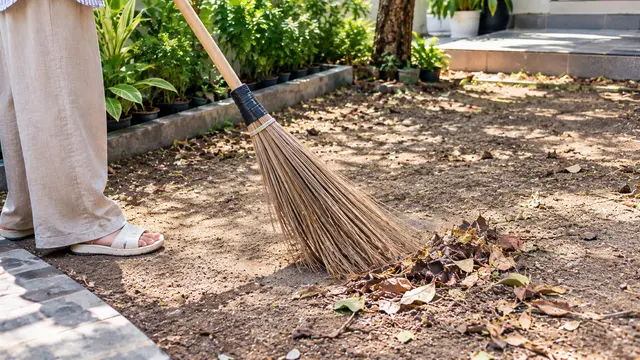Cara Menyiram Halaman Rumah yang Kering agar Debu Tidak Beterbangan