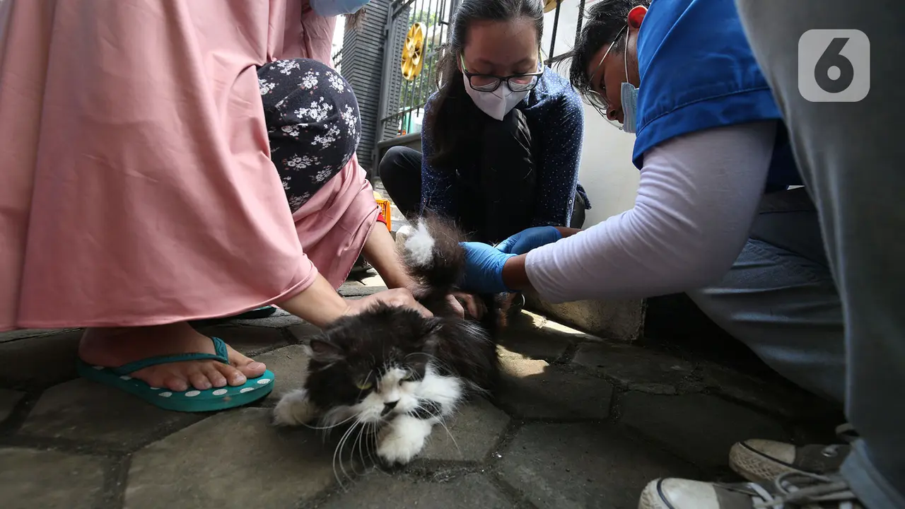 FOTO: Cegah Rabies, Hewan Peliharaan Jalani Vaksinasi Gratis di Rawa Jati