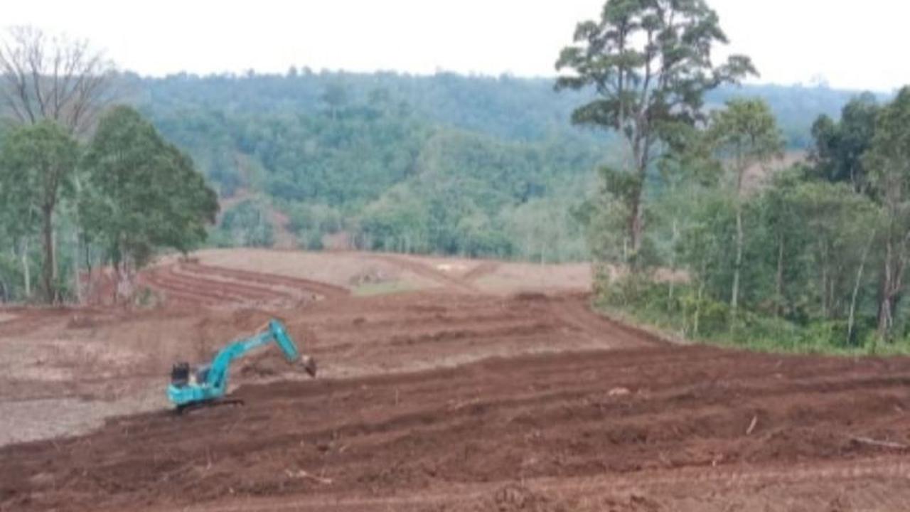 Wow, Cetak Sawah Rejang Lebong Capai 251 Hektare, Siap Jadi Lumbung Pangan Bengkulu!