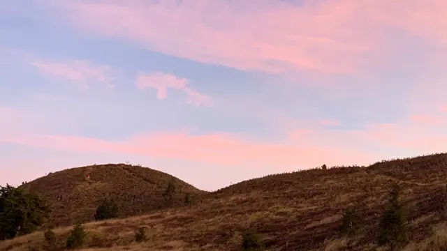 6 Destinasi Sabana di Indonesia yang Memukau