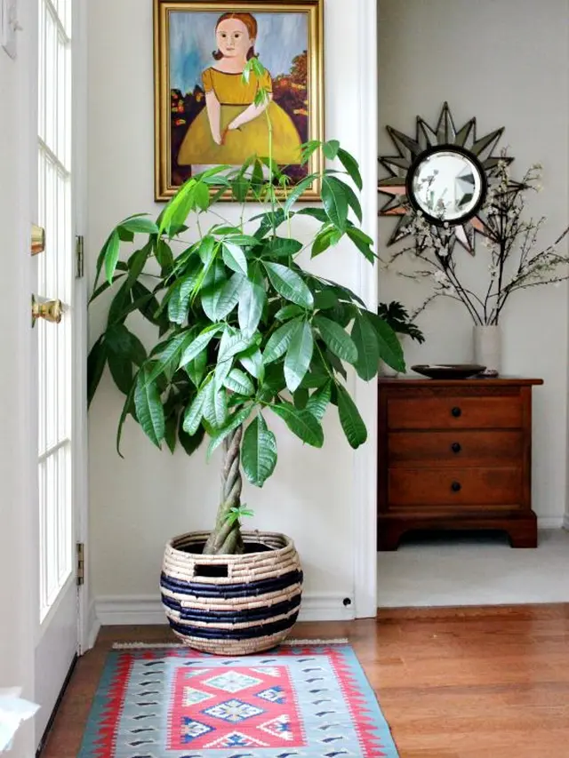 Money Tree/dok. Pinterest